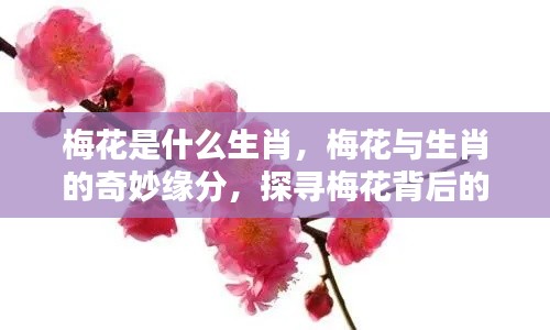 梅花背后的生肖印记，生肖与梅花的奇妙缘分探索