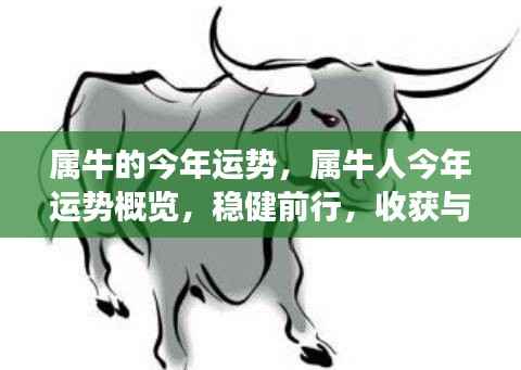 属牛人今年运势概览，稳健前行，收获与成长并重，运势大好！