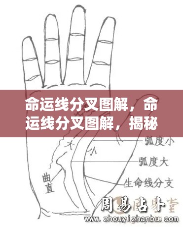 淡妆浓抹 第6页