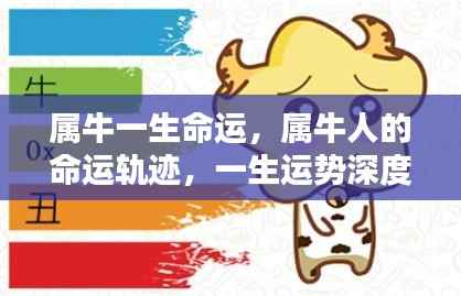 属牛人的命运深度解析，一生运势轨迹与命运轨迹展望