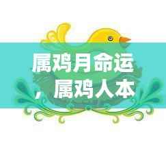 属鸡人的本月运势与命运走向揭秘，星辰月相下的命运轨迹