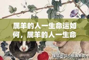 属羊人的命运解析，温文尔雅中的坚韧与机遇挑战