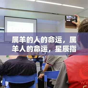 临危不惧 第5页