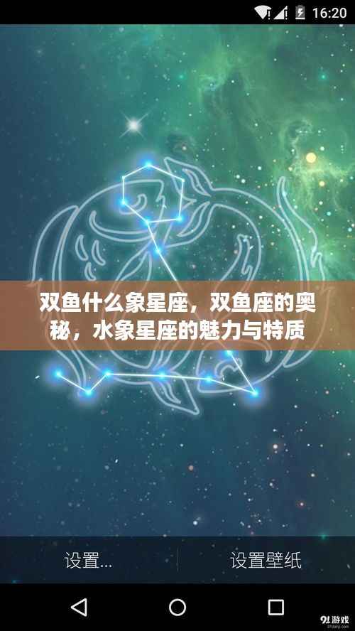 揭秘双鱼座，水象星座的魅力与独特奥秘