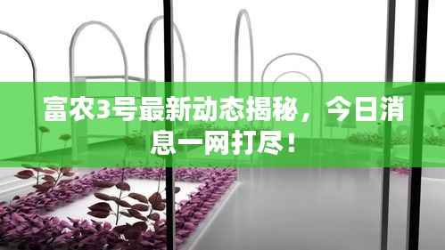 观往知来 第5页