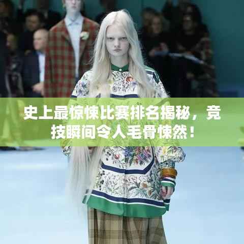 坌鸟先飞 第4页