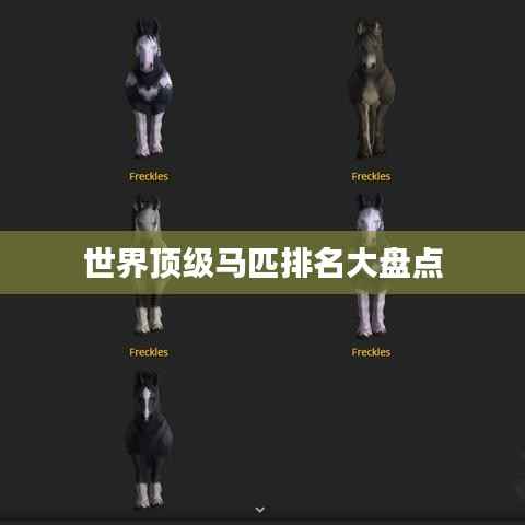 世界顶级马匹排名大盘点