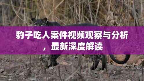 高抬贵手 第4页