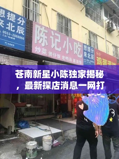 苍南新星小陈独家揭秘，最新探店消息一网打尽