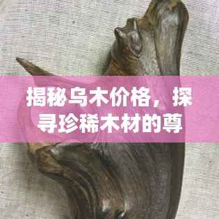 揭秘乌木价格，探寻珍稀木材的尊贵价值