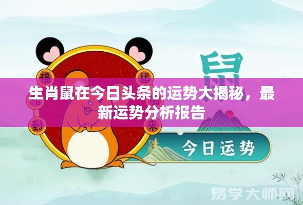 生肖鼠在今日头条的运势大揭秘，最新运势分析报告
