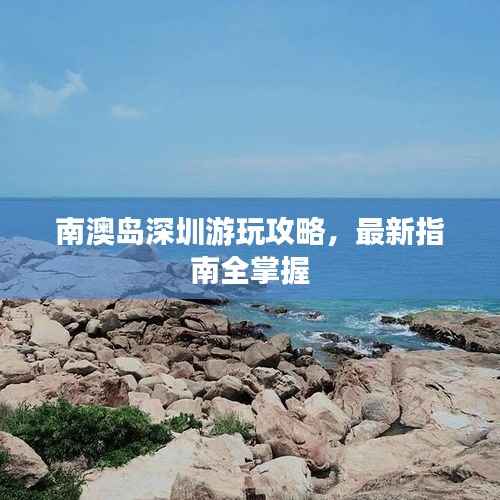 百鸟归巢 第3页